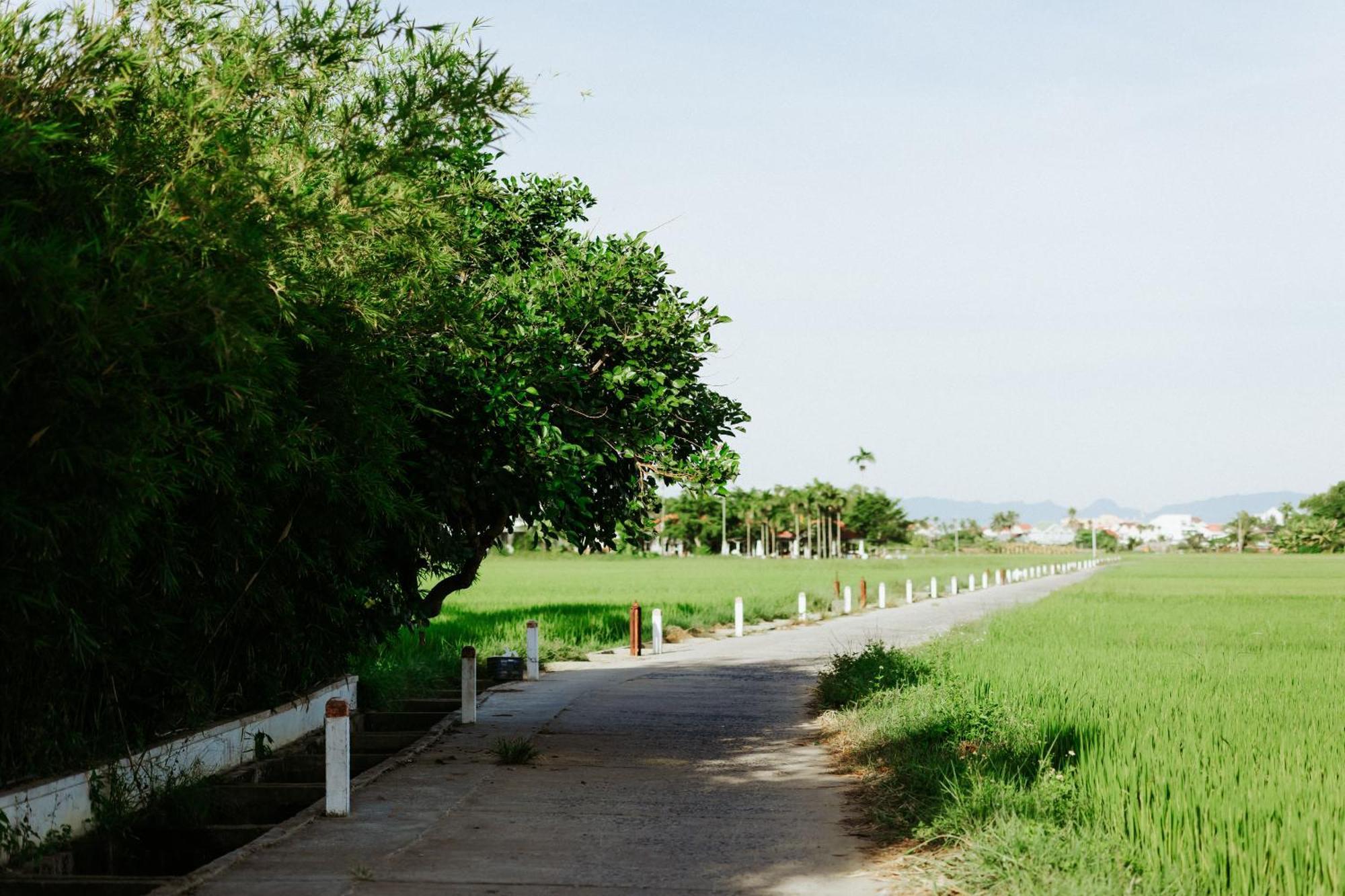 鹭府之家住宿加早餐旅馆 会安 外观 照片